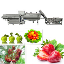 fruit washing machine Fruit washer Fruit machinery Commercial fruit processing machine